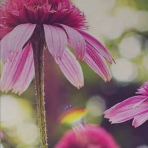 Meet your Posher, Muhannad